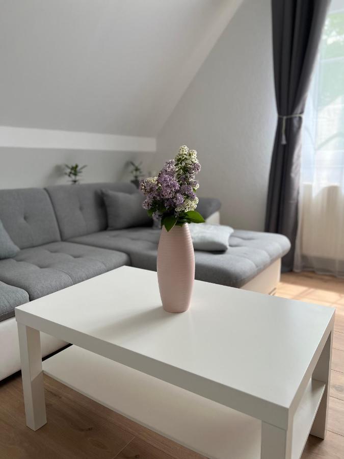 Ferienwohnung Zum Scheibe-See ホイエルスヴェルダ エクステリア 写真